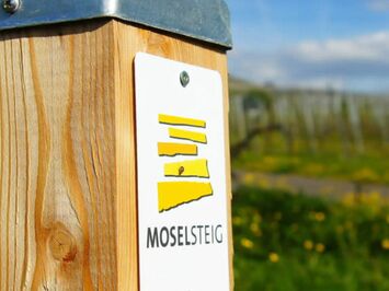 Ferienhaus Alte Scheune Pommern Mosel - Moselsteig