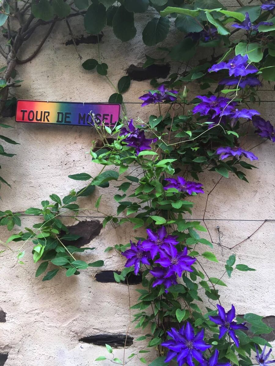 Ferienhaus Alte Scheune Pommern Mosel - Blumen