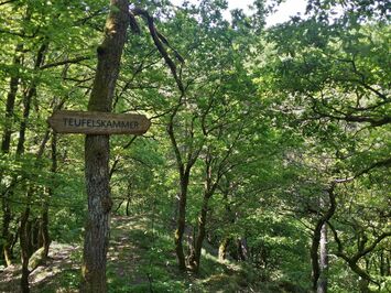 Ferienhaus Alte Scheune Pommern Mosel - Traumpfade Teufelskammer